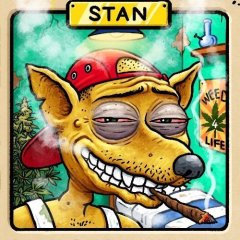 STAN