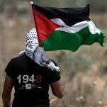 Chem Palestine