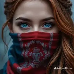 zenel.ko1