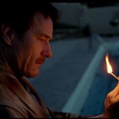 Mr.white